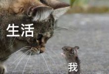 7天创收397.3w,粉丝仅15w!抖音“风火轮带货”到底有多牛?(内附直播榜单)-抖音直播带货