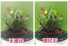 手机也能拍大片!这些手机拍摄短视频技巧,你一定要知道!-抖音直播带货
